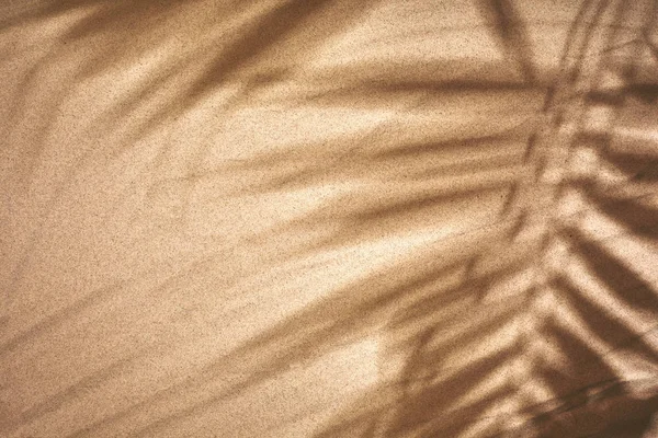 Kopiera utrymme shadow palm Leaf på sandstrand textur bakgrund. — Stockfoto