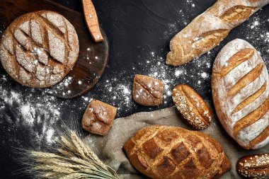 Ev yapımı çavdar ekmeği un ve çeşitli tahıl ve tohum spikelets buğday veya çavdar ve yulaf siyah bir zemin üzerine serpilir.