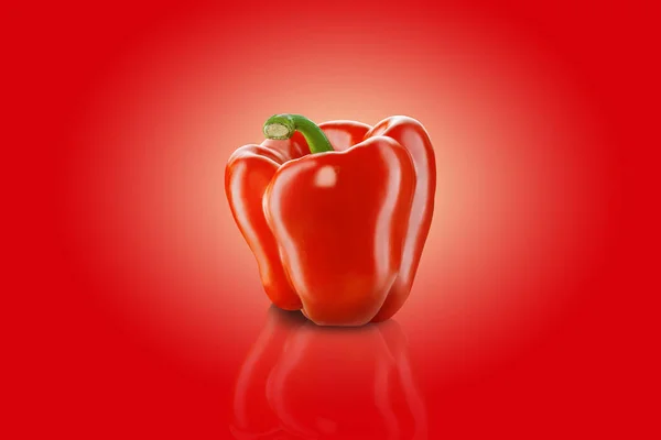 Fresh, red, bell pepper or bulgarian pepper on a red background with copy space for text or images, mirror surface. Advertising concept. Close-up. — Stock Photo, Image