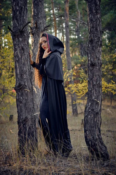 Sorcière aux cheveux longs en noir, robe longue avec cape et capuchon. "Posing in pine forest among trees". Les sorts, la magie et la sorcellerie. Portrait de pleine longueur. — Photo