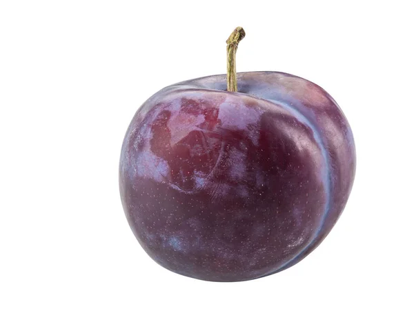 Fruta de ameixa lisa, macia e púrpura isolada em fundo branco com espaço de cópia para texto ou imagens. Vista lateral. Close-up shot. — Fotografia de Stock