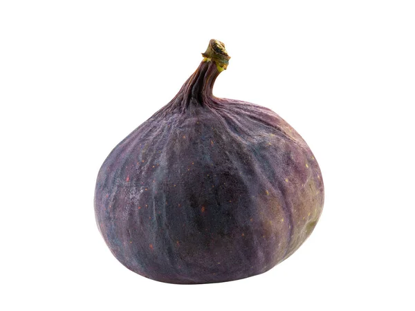 Fig púrpura aislada sobre blanco con espacio de copia para texto o imágenes. Frutas suaves y dulces, la piel es muy delgada, tiene muchas semillas pequeñas dentro de ella. Cierre. — Foto de Stock