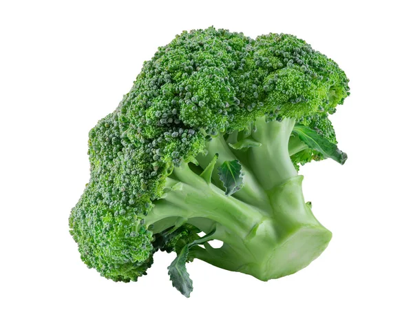 Broccoli verde aislado sobre fondo blanco con espacio de copia para texto o imágenes. Verdura comestible con cabeza florida grande. Vista lateral. Cierre. — Foto de Stock