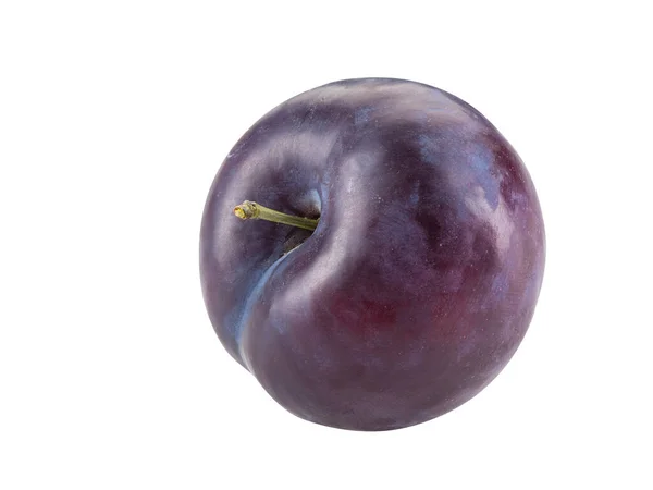 Fruta de ameixa lisa, macia e púrpura isolada em fundo branco com espaço de cópia para texto ou imagens. Vista lateral. Close-up shot. — Fotografia de Stock
