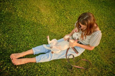 Köpek Parson Russell Terrier cinsi sahibi ile Green Park 'ta oynuyor. Yaz zamanı ya da sonbaharın başlangıcı. Doğa. Hayvan bakımı ve eğitim konsepti.