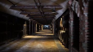 şarap şişesi ve şarap mahzeni varil