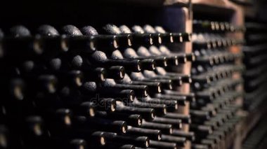 sığ derinlik-in tarla bir mahzeni şarap şişeleri büyüğe