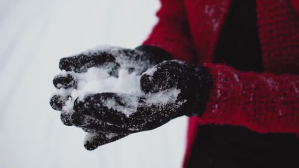 Snow is sprinkling in black womans gloves in slow motion — Stock Video