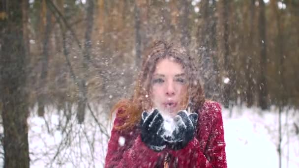 Piękne młode uśmiechający się zima dziewczyna dmuchanie śniegu na pola w super zwolnionym tempie 120fps — Wideo stockowe