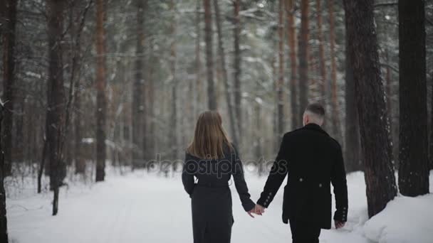 Νεαρό ζευγάρι απολαμβάνει το περπάτημα το χειμώνα στο δάσος — Αρχείο Βίντεο