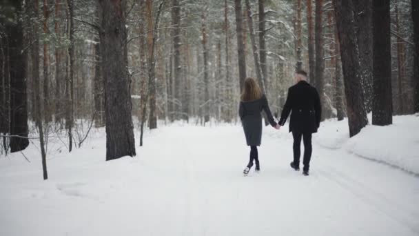 Unga par njuter av promenader vintertid på skogen — Stockvideo