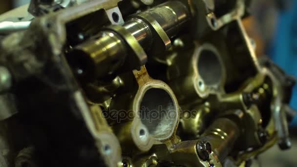 Professionell bil mekaniker fixa motorn — Stockvideo