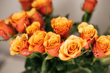 Bir buket turuncu gül. 