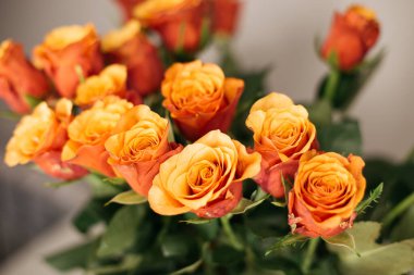 Bir buket turuncu gül. 