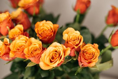 Bir buket turuncu gül. 