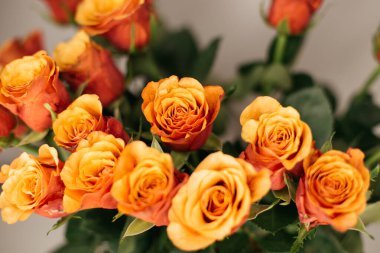 Bir buket turuncu gül. 