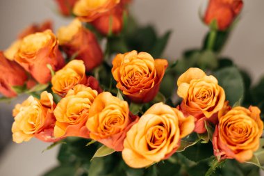 Bir buket turuncu gül. 