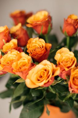 Bir buket turuncu gül. 