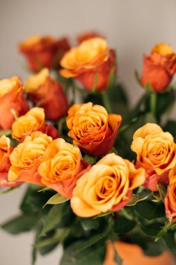 Bir buket turuncu gül. 