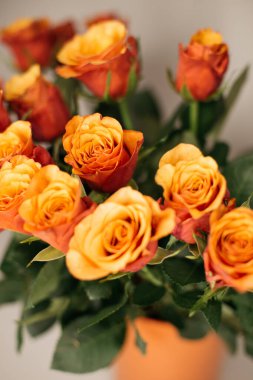 Bir buket turuncu gül. 