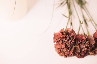 Kırmızı karanfil buketi, zafer günü.