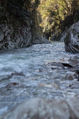 Mavi dağ nehri bir koruluktaki kayaların arasında.