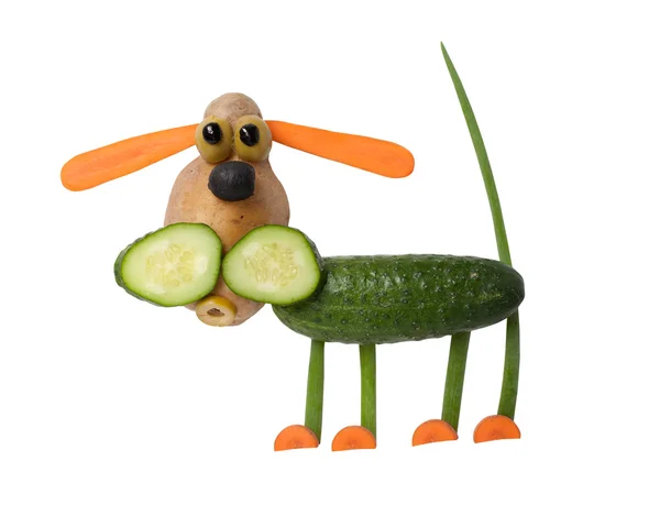 Förvirrad hund gjort av grönsaker — Stockfoto