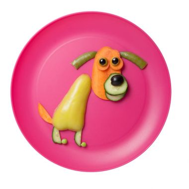 Pembe plaka üzerinde taze sebze üzücü köpek yaptı