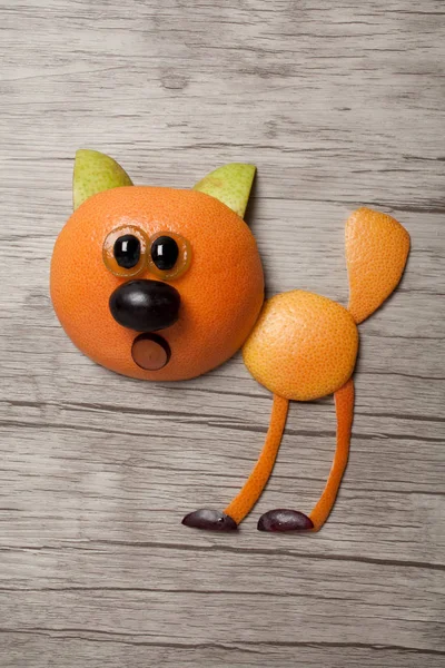 Cat made with orange on wooden background Stock Picture