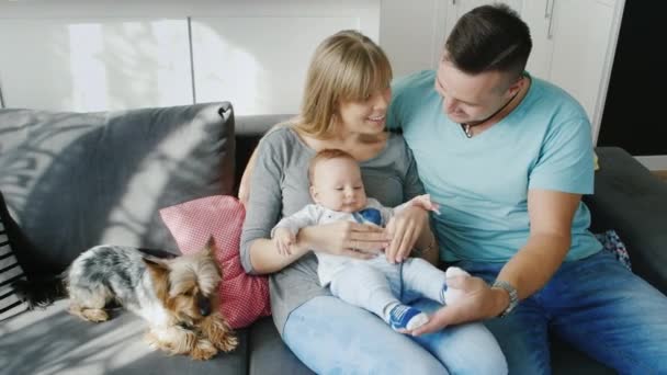 Glückliche Familie verbringt Zeit miteinander. Mutter, Vater und Sohn sitzen zwei Monate auf einer Couch und spielen mit dem Baby. in der Nähe ihres Hundes — Stockvideo