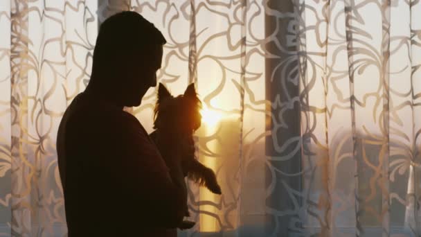 Молодой одинокий человек, стоящий у окна, держа свою собаку. Задумчиво глядя в окно на закате — стоковое видео