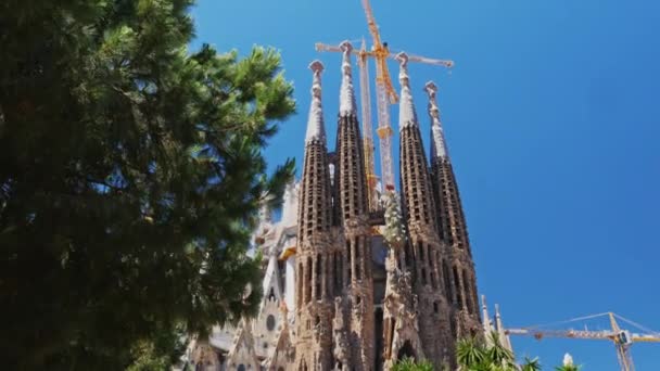 Steadicam geschoten: de beroemde tempel van de Sagrada Familia in Barcelona, de camera beweegt in de richting van de kerk — Stockvideo