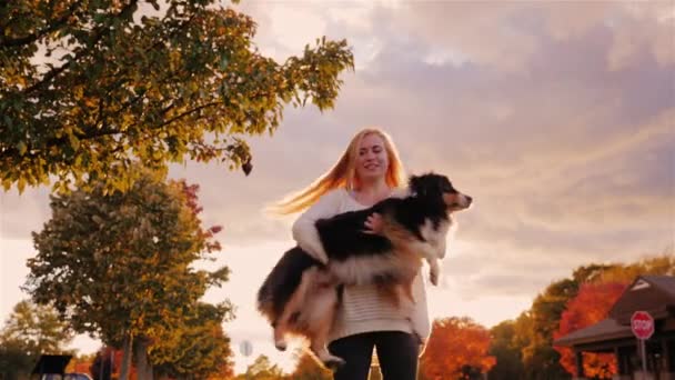 Aantrekkelijke jonge vrouw plezier met zijn hond. Houd haar in zijn armen, draaide mee. Australische herder — Stockvideo