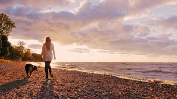Young woman walking with a dog on the shore of Lake Ontario at sunset — Stock Footage Young woman walking with a dog on the shore of Lake Ontario at sunset Stock Footage