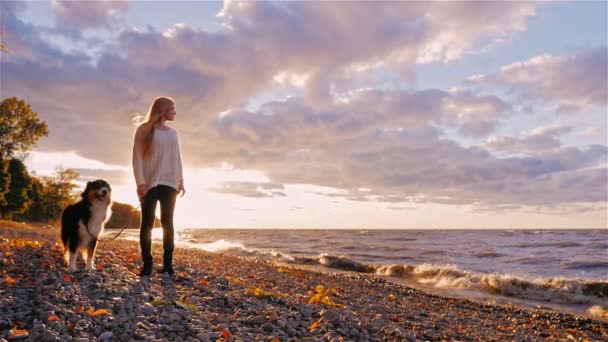 Mujer joven con un perro de pie junto a la orilla de un lago o el mar. Al atardecer, mirando a la distancia, soñando . — Vídeos de Stock