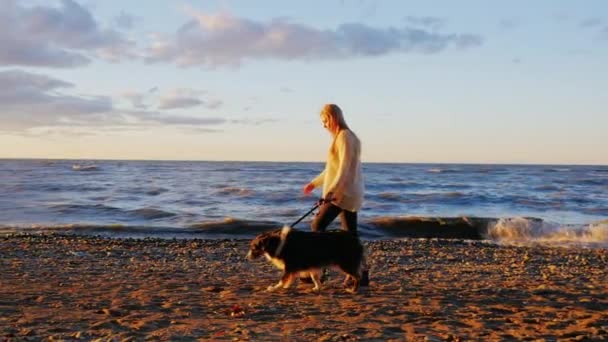 Steadicam slow motion shot: Young woman walking with his beloved dog along the bank of the lake. — Stock Video