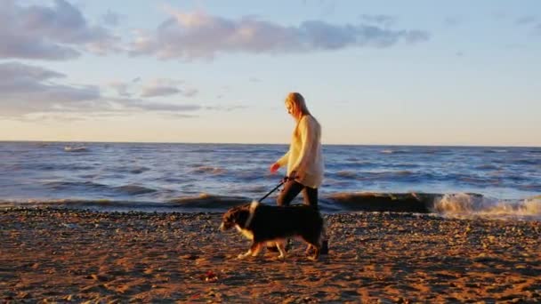 Steadicam yavaş vurdu: göl kıyısında boyunca sevgili Köpeğiyle yürüyen genç kadın. — Stok video