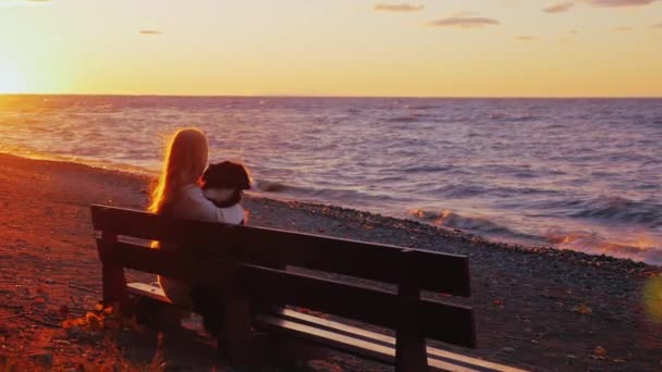 Séjour relaxant. Jeune femme avec un chien assis sur un banc et regardant au loin au soleil couchant et au lac Ontario aux États-Unis — Video