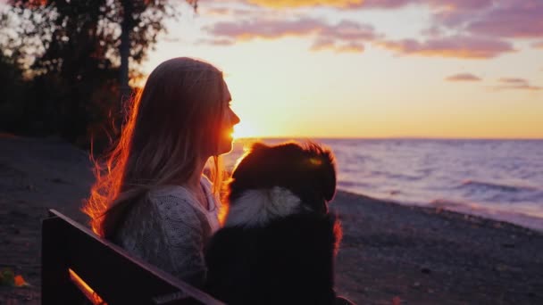 Az ember és a kutya. Fiatal nő, egy ausztrál juhászkutya fölötti naplementében a tó vagy a tengerre. Egymás mellett ülnek a padon — Stock videók