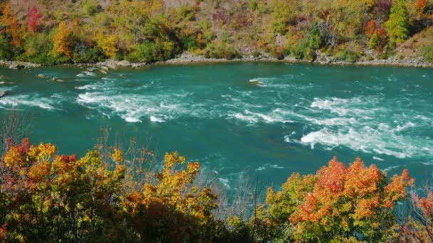 Το φθινόπωρο στις όχθες του ποταμού Νιαγάρα. Κατάντη από Καταρράκτες του Νιαγάρα, ένας δημοφιλής τουριστικός προορισμός από την πολιτεία της Νέας Υόρκης. — Αρχείο Βίντεο