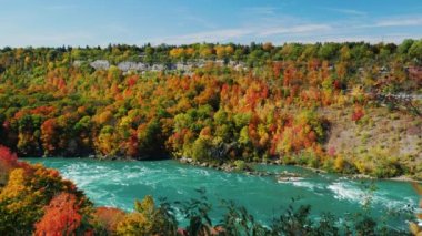Yüksek kayalık sahil boyunca Niagara Nehri akar sonbahar orman kaplı. Doğal sonbahar günü. New York eyaleti popüler turistik hedefi. Pan çekim