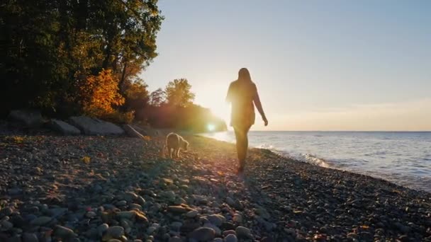 Steadicam shot: σιλουέτα μιας νεαρής γυναίκας. Περπατάει με ένα σκυλί κοντά σε μια λίμνη ή τη θάλασσα στο ηλιοβασίλεμα. Πολύ όμορφο ουρανό και τα σύννεφα. — Αρχείο Βίντεο