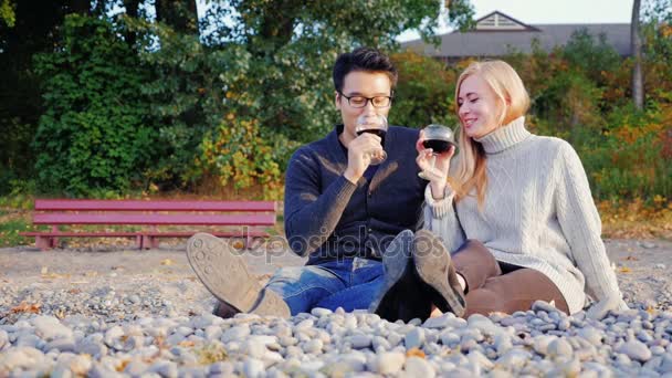 Многонациональная пара отдыхает с бокалами вина на озере на закате. Кавказка и азиатский мужчина — стоковое видео