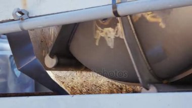 Basından suyu akar. Üzüm meyve suyu hazırlama için büyük döner basın. Şaraphane işyerinde