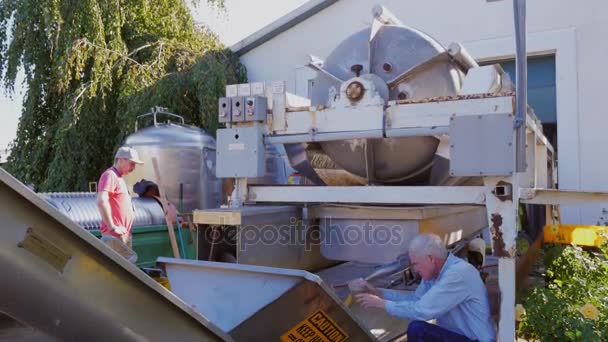 Wilson, NY, USA - 20 OTTOBRE 2016: Il succo d'uva scorre dalla grande Presa. L'enologo controlla la qualità del succo — Video Stock