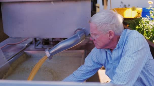 葡萄汁是源自大水库。酿酒师监测质量的果汁 — 图库视频影像