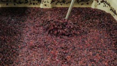 Winery içinde çalışmak. Kap yumruk