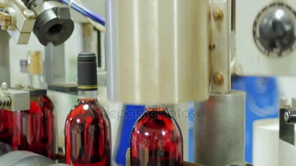 Botellas de tapones de vino tinto se cierran, y luego las cápsulas — Vídeo de stock