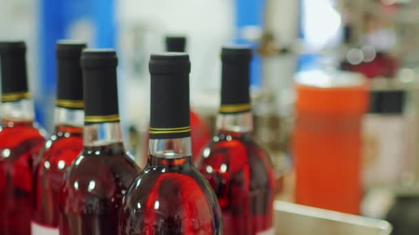 Flaskor rött vin på fabriken. Vi anlände med ett transportband — Stockvideo