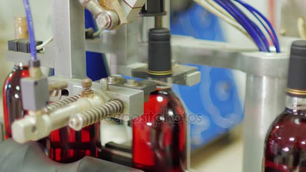 Capsules sur les bouteilles. Production de vin — Video